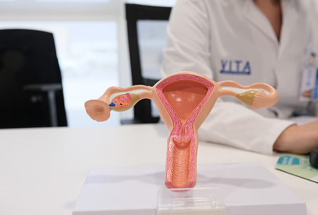 Asesoramiento en fertilidad