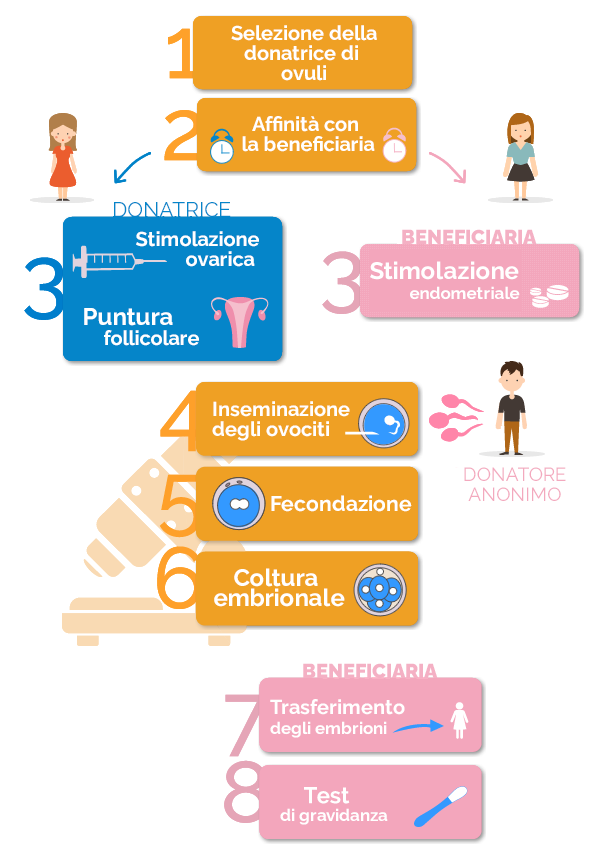 Ovodonazione con seme di donatore