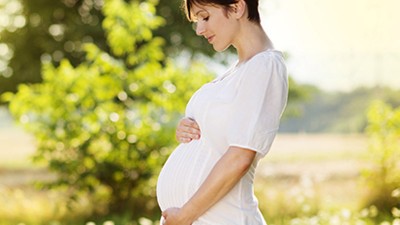 inseminación o fecundación in vitro