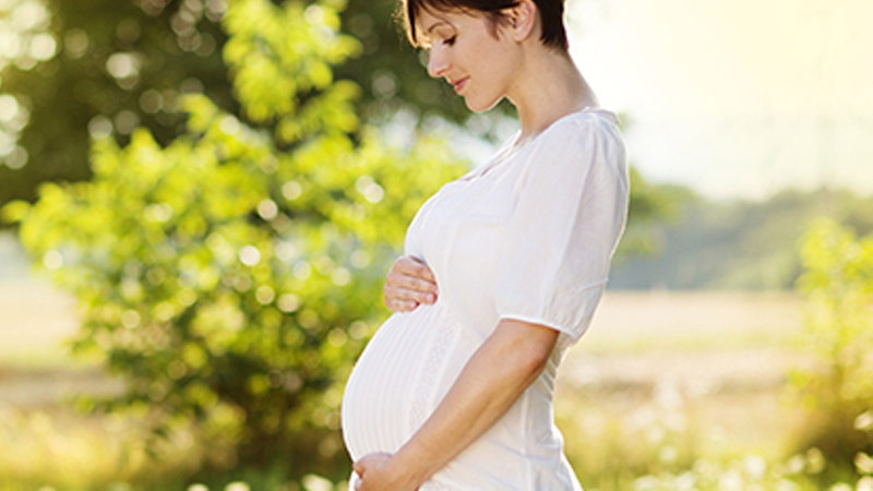 Maternidad, embarazo y reproducción asistida - Quiero ser mamá soltera