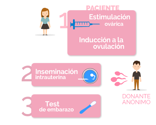 fases de la inseminación artificial con semen de donante anónimo