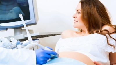 porcentaje de éxito inseminación artificial