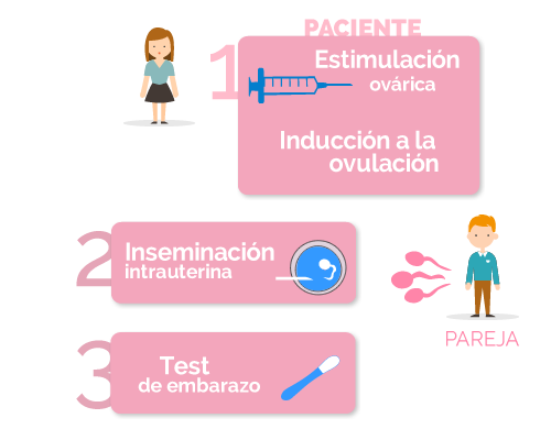 Jeringas para inseminacion casera, 18 jeringas de autoinseminación, inseminación  casera