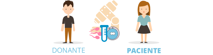 fecundación in vitro con semen de donante