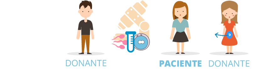 ovodonación o donación de óvulos con semen de donante