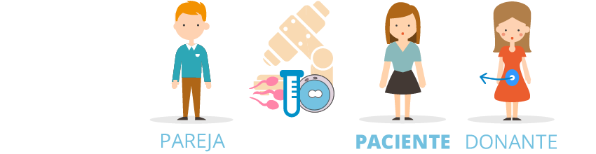 ovodonación o fecundación in vitro con donación de óvulos