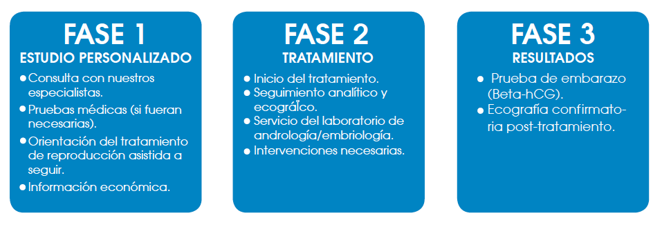 fases de un tratamiento de fertilidad