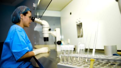 paso a paso en fecundación in vitro