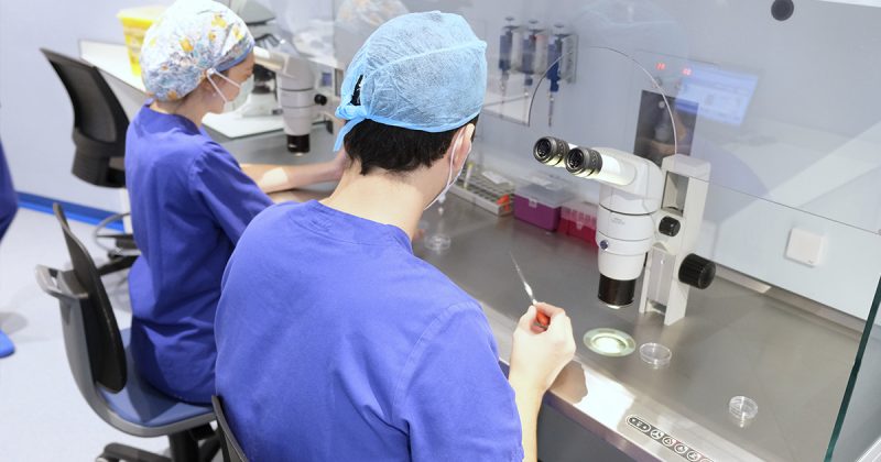 cultivo de embriones in vitro