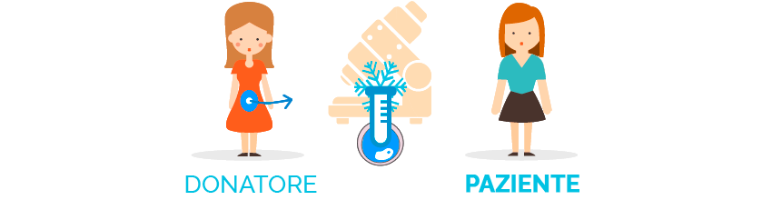 embryoadoption