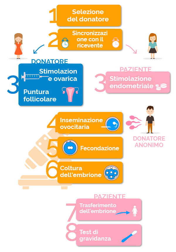 fasi della fecondazione in vitro con donazione di ovuli e sperma da donatori anonimi