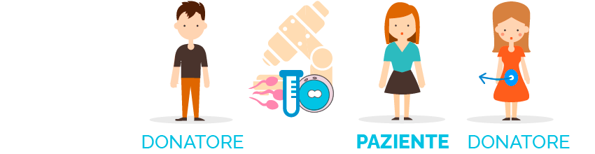 FIVET con donazione di sperma e ovuli da parte di un donatore