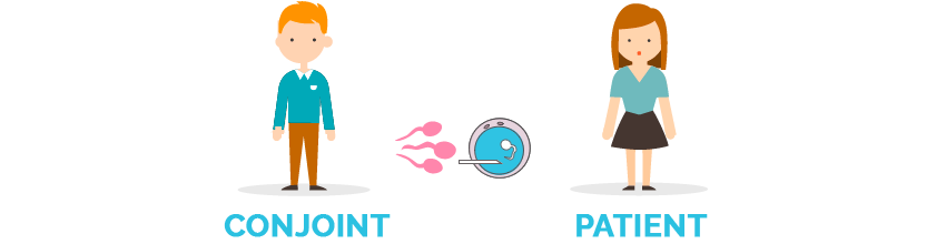 Inseminación artificial con semen de la pareja