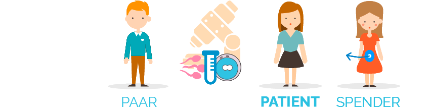 ovodonación o fecundación in vitro con donación de óvulos