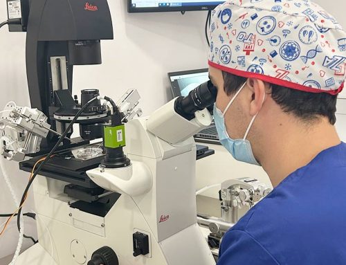 Así se elige el mejor espermatozoide para una Fecundación in Vitro