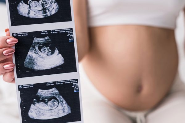 Blastocistos y trofoectodermo: lo que nos dicen sobre el éxito reproductivo