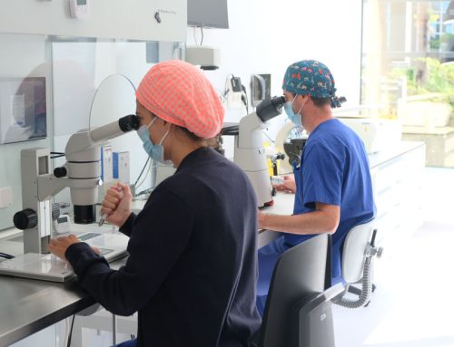 VITA estrena nuevo laboratorio de reproducción asistida en IMED Levante