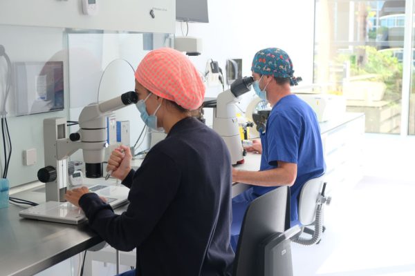 VITA estrena nuevo laboratorio de reproducción asistida en IMED Levante
