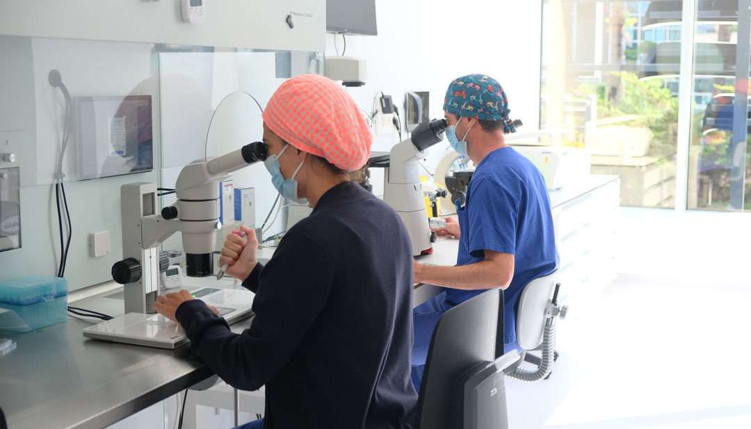 Nuevo laboratorio VITA