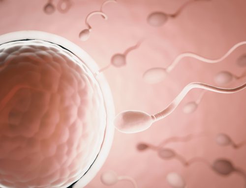 Día Mundial de la Fertilidad: concienciar, informar y acompañar a quienes desean formar una familia