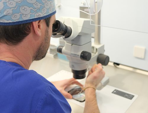 Día Mundial del Embriólogo: cómo trabaja el laboratorio que hace posible un embarazo