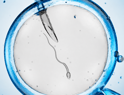 ¿Qué es más efectivo, inseminación artificial o fecundación in vitro?